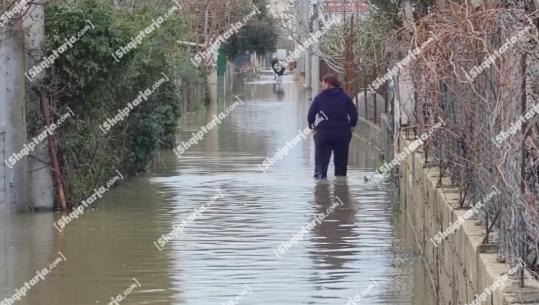 Uji në banesa arrin nivelin 30 cm, banorët e Kënetës i bëjnë apel shtetit: Të vijnë të na shohin, jemi në mëshirë të fatit