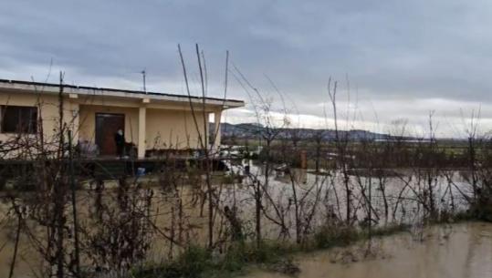Elbasan/ Përmbyten tokat bujqësore në fshatrat Jagodinë dhe Muriqan, uji rrethon banesat! Shkak mospastrimi i kanalit kullues