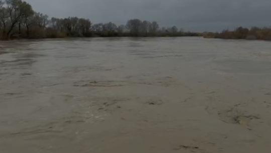 Shqipëria përfshihet nga moti i keq/ Vjosa arrin nivelin 9 metra në urën e Mifolit, prurje të shumta dhe në Memaliaj! Mbi 300 hektarë tokë e përmbytur në fshatrat e Vlorës dhe Fierit