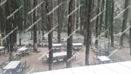 Zbardhet Llogaraja! Nis pastrimi i rrugës, apel për kujdes për drejtuesit e mjeteve