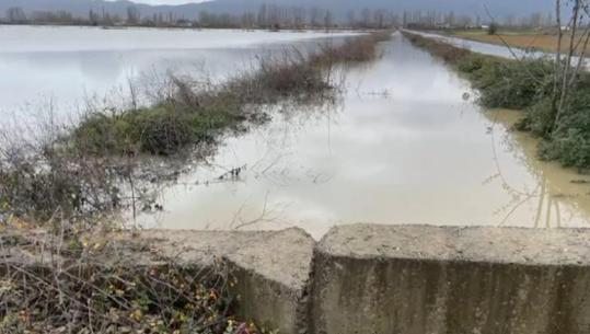 Çarja e argjinaturës së Drojës/ Dhjetëra familje të izoluara prej 4 ditësh, banorët kërkojnë ndërhyrje të menjëhershme! Niveli i ujit po rritet me shpejtësi