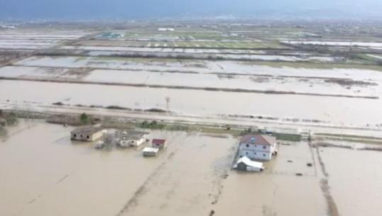 “Po më vdes plaku në ujë”- Çarja e argjinaturës përmbyt disa fshatra të Kurbinit dhe Krujës, dalin pamjet ‘apokaliptike’ të kapura me dron