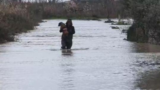 VIDEOLAJM/ Rritja e nivelit të lumit Vjosë, banori merr qenin në krahë dhe e shpëton nga përmbytja