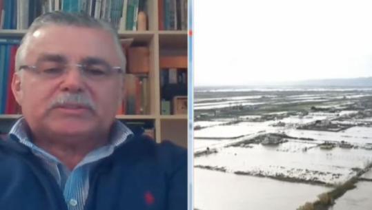 “Mbi 150 milionë euro dëm”- Eksperti Pilku bën bilancin e përmbytjeve: Duhet ristrukturim i plotë i bujqësisë! Të zhvillohet strategjia e riskut klimaterik.