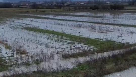 Bie niveli i lumit Ishëm, por situata ende jo e përmirësuar! Qindra hektarë tokë nën ujë