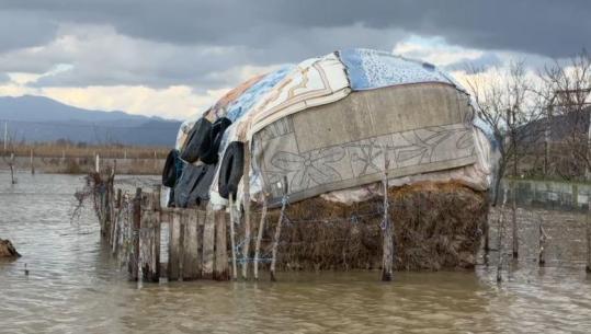 Përmbytjet, rritet niveli i ujit në Kurbin, mos mbyllja e argjinaturës së Lumit Droje ka rënduar situatën në Adriatik, Patok dhe Golem
