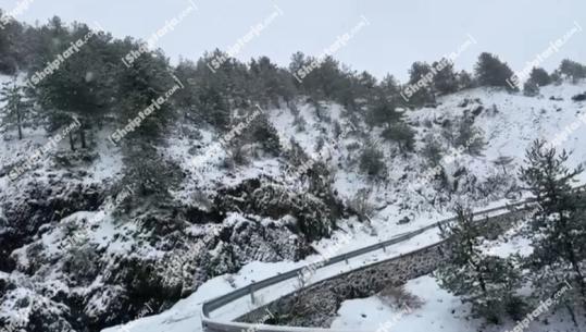 30 cm borë në Malësinë e Krujës! Bllokohet rruga deri në Qafshtamë, disa fshatra të izoluar