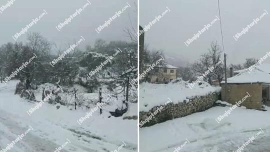 Skrapar/ Gjerbesi zbardhet nga dëbora, fshati 48 orë pa energji elektrike