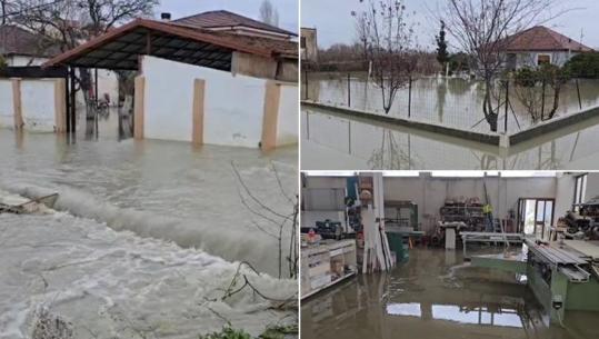 REPORTAZH/ Mundi i një jete përfundoi në Erzen, banorët e Katundit të Ri mes dëshpërimit: Faji i shtetit! Argjinatura e kanalet nuk mirëmbahen! Mbi 800 të evakuar, 2500 hektarë në ujë