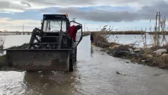 Dalja nga shtrati i lumit Vjosë përmbyt serat në Kafaraj, fermerët: Jemi të shkatërruar, kërkojmë dëmshpërblim! Dëmet nuk llogariten, ishte piku i prodhimit