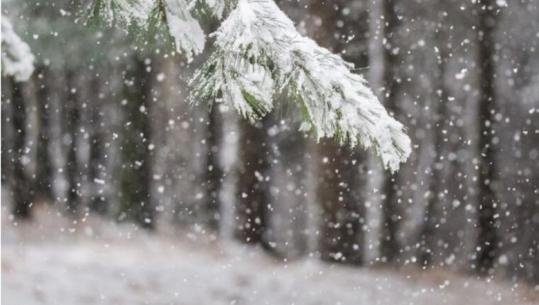 Reshje shiu e dëbore, parashikimi i motit për sot