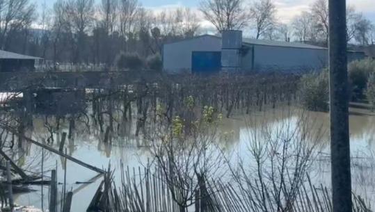 Moti i keq, situatë problematike në 7 qarqe/ Rrugë të bllokuara, toka e banesa të përmbytura dhe evakuime nga zonat në rrezik