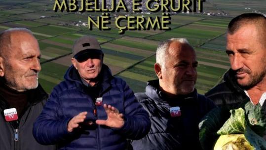 Veri Jug në zemër të Myzeqesë, inspekton procesin e mbjelljes së grurit në Çermë