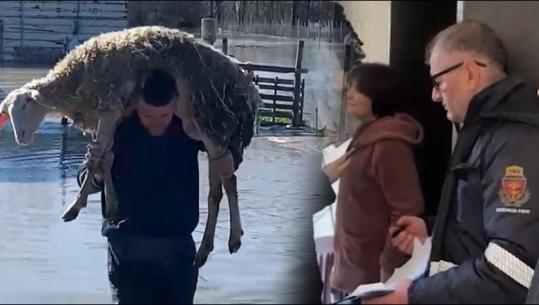 Nis procesi i verifikimit të dëmeve nga përmbytjet në Ferras dhe Mbrostar të Fierit! Autoritetet në terren, banesat dhe fermat në vlerësim