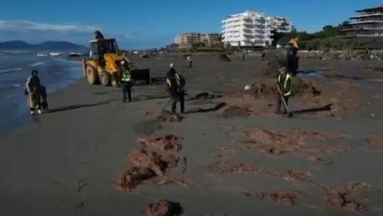 Aksioni për pastrimin e Plazhit të Vjetër në Vlorë, Rama publikon pamjet