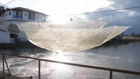 Rama: Hidrovorët në Darzezë të Fierit në punë pa ndërprerje për përballimin e reshjeve intensive