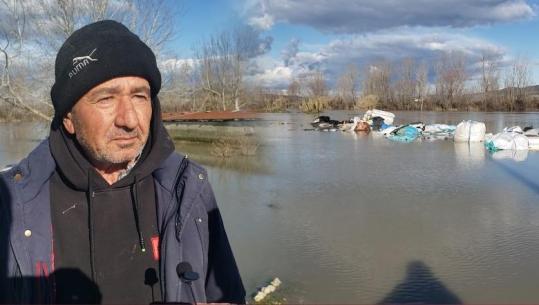 Hapja e portave të Hidrocentralit të Banjës, përmbytet landfilli i Kuçovës! Uji nuk kursen edhe stallën e derrave, fermeri: 100 kokë të ngordhur