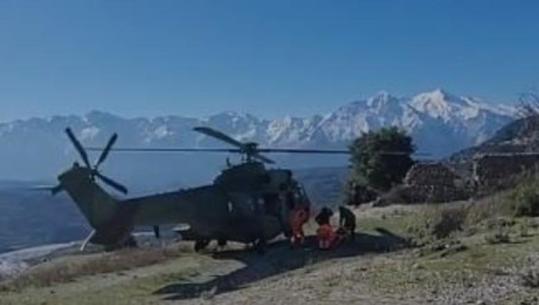 Fëmija u godit nga mushka në fshatin Bashaj! Me qepje në kokë, transportohet me helikopter drejt Tiranës