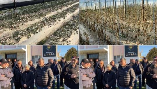 Përmbytjet/ Uji tërhiqet nga tokat, fermerët: Iku mundi i jetës! Në Durrës 543 të evakuuar! Protestë në Dimal e Maliq