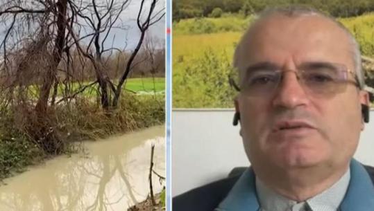 Përmbytjet, eksperti rendit disa nga shkaqet: Kemi humbur 32% të pyjeve, dëm kolosal ekosistemit