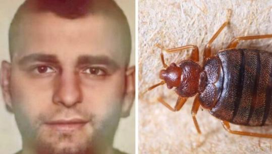 Ndodh edhe kjo! Morrat ndërpresin gjyqin kundër “bosit” nga Elbasani