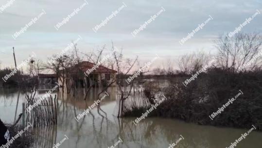 Fier/ Çarja e argjinaturës së Semanit, përmbyten 20 banesa në fshatin Hasturkas në Libofshë