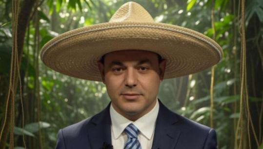 Akuzat për ministrat, Rama sërish Fevizut: Kalendari i ngjeshur i influencerit e pengoi të merret me faktin që gënjeu shikuesit, kërko falje