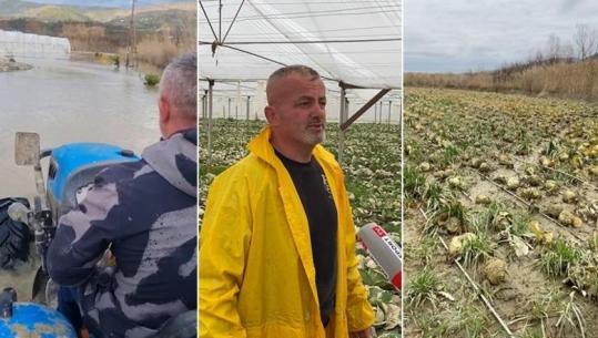 Përmbytjet në Cërrik nga shkarkimet e HEC-it të Banjës, dëme në sera! Fermeri: Falimentuam, dëmet janë të jashtëzakonshme