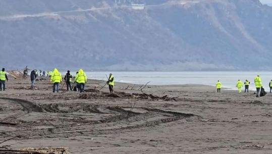 Prej tre ditësh vijon pastrimi i bregdetit në Velipojë, 65 punonjës të angazhuar