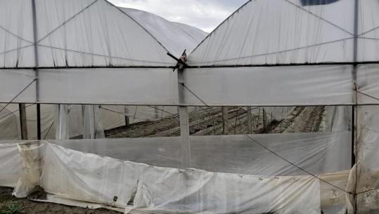 Kuçovë/ Përmbytjet në fshatin Kozare, 28 hektarë sipërfaqe me sera ende nën ujë