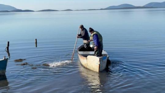 Peshkimi, pasioni i dy vëllezërve Alliu në lagunën e Nartës: Dikur dilnin 30–40 varka, sot kanë mbetur shumë pak