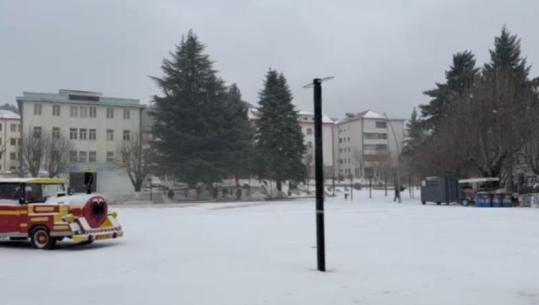 Reshje dëbore në Pukë e Fushë Arrëz, segment i rrezikshëm Bardhet-Kryzi-Iballë! Policia bën apel për kujdes (VIDEO)