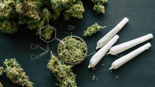 Gjermani: Legalizimi i kanabisit dhe shtimi i psikozave