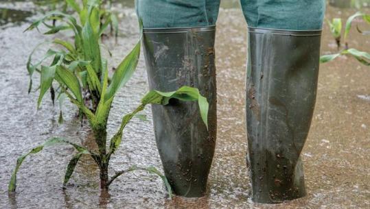 Fatura e dëmeve të përmbytjeve mund të arrijë deri në 300 milionë euro