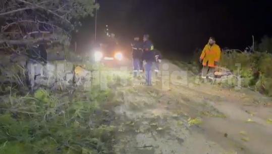 Vlorë/ Era e fortë rrëzon pishat në pyllin e Sodës, bllokohet qarkullimi drejt Zvërnecit (VIDEO)