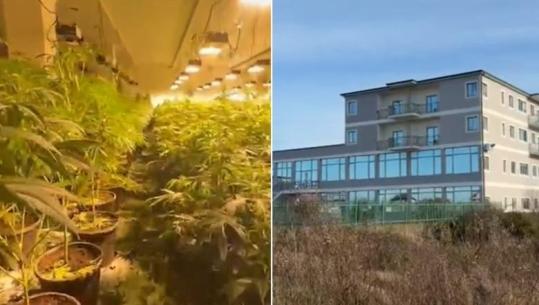 Operacion antidrogë në Lezhë, laboratori i drogës i fshehur brenda qendrës së biznesit! 4 ambiente për kultivimin e drogës, babë e bir arrestohen në flagrancë, sekuestrohen kanabis e armë