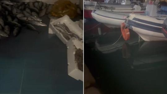 Niveli i detit në Radhimë rritet si asnjëherë më parë, peshqit 'dalin' në tokë (VIDEO)