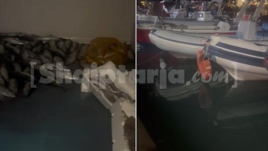 Niveli i detit në Radhimë rritet si asnjëherë më parë, peshqit 'dalin' në tokë (VIDEO)