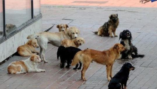 ‘Na mashtruan dhe na morën qentë’- Shpallen në kërkim një çift bashkëshortësh në Durrës, administratorë të qendre trajnimi kafshësh! Zbardhen detajet