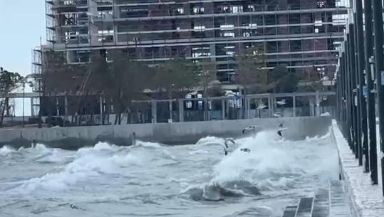 Dallgë deri në 6.5 metra! Ndalohet lundrimi për mjetet e vogla në Vlorë, Kapiteneria e Portit: Mos dilni në det të hapur!