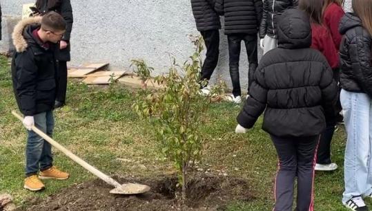 Për një Lezhë më të gjelbërt/ Nxënësit e shkollës 9-vjeçare ‘Besëlidhja' mbjellin 20 fidanë pranë memorialit të Skënderbeut