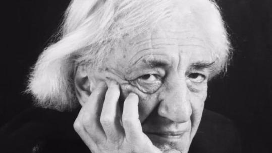 ‘Kur pashë librat marksiste-leniniste e serinë e veprave të Enverit i thashë Alizotit paske shumë nga këto! Dëshmia e Dritëro Agollit, për librarin e famshëm të Gjirokastrës