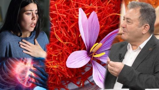 Shafrani bima e mrekullive, ‘ari i kuq’ që ofron përfitime të shumta në shëndet / Ylli Merja: Kujdes me dozimin!