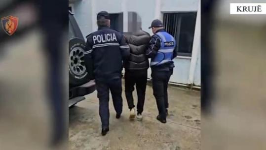 Ishte shpallur në kërkim për kultivim droge, arrestohet 28-vjeçari në Krujë