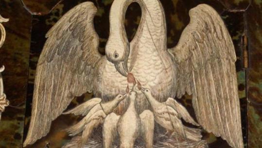 Kujdes nga mallkimi i pelikanëve dhe i flamingove…