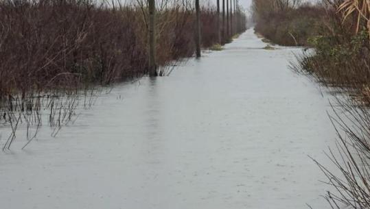 Shkarkimet ne tre hidrocentralet e kaskadës së Drinit, përmbytet sërish Oboti! Rruga e pakalueshme, niveli i ujit arrin në 50 cm