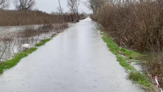 Shkarkimet ne tre hidrocentralet e kaskadës së Drinit, përmbytet sërish Oboti! Rruga e pakalueshme, niveli i ujit arrin në 50 cm