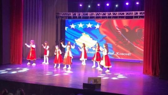 Lezha feston Pavarësinë e Kosovës me veprimtari artistike dhe mesazhe mbështetëse për krerët e UÇK-së