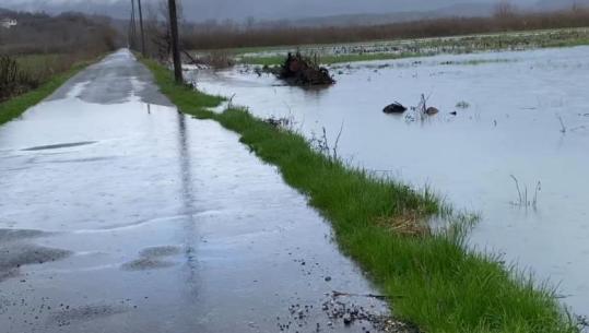 Shkarkimet e HEC-eve/ Oboti ende i përmbytur, niveli i ujit bie në 45 centimetra! Mjetet e larta në gatishmëri, hapet rruga deri në Qafë Thore