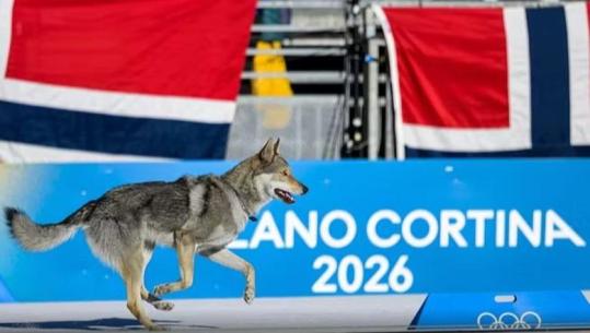 'Milano Cortina'/ Njihuni me Nazgul, qenin që 'mori pjesë' në Olimpiadën Dimërore dhe kaloi vijën e finishit (VIDEO)